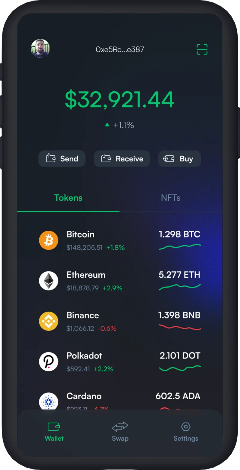 Wallet portfolio with total balance and token list